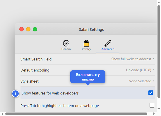 Safari Settings: включение инструментов разработчика